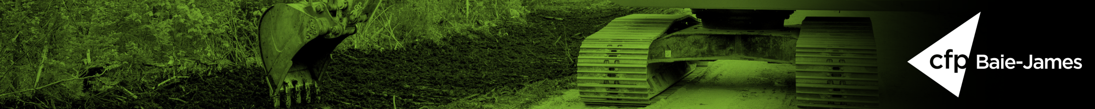 3 - Normes de construction de chemins forestiers (260663)