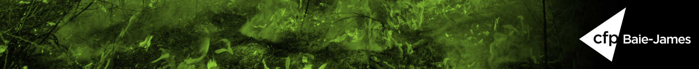 7 -  Lutte contre les feux de forêt (260701)