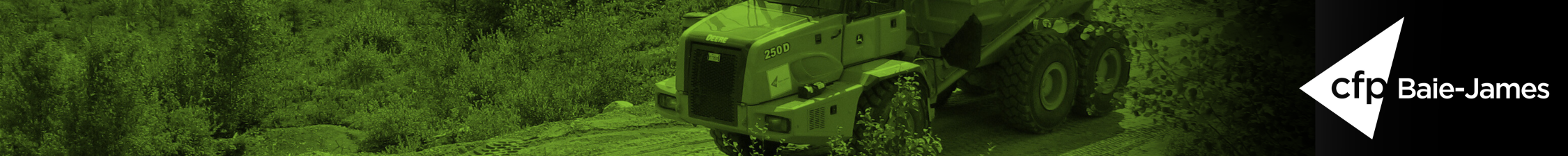 10 - Construction et entretien de la surface de roulement d'un chemin forestier (260737)