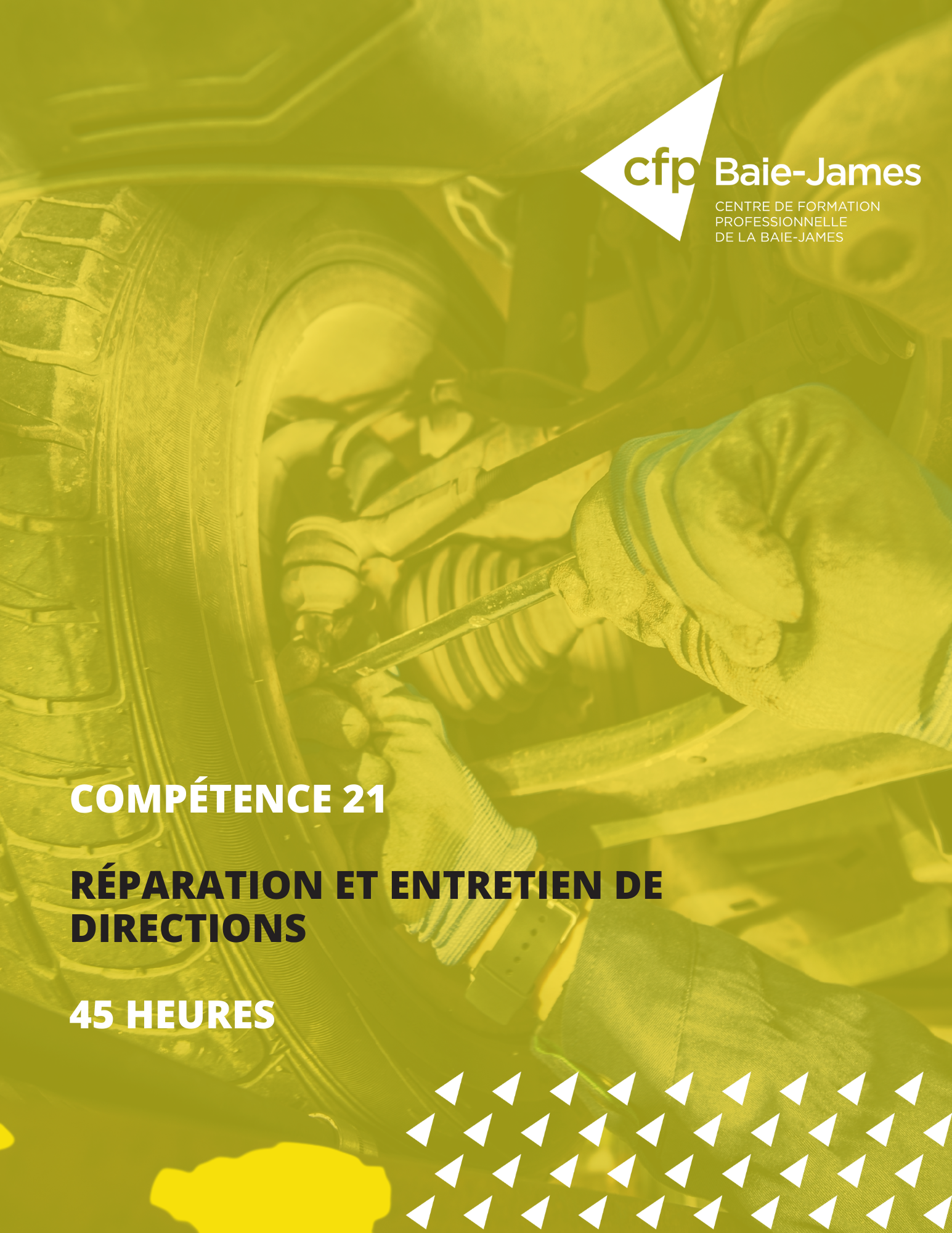 21 - Réparation et entretien de directions (351323)