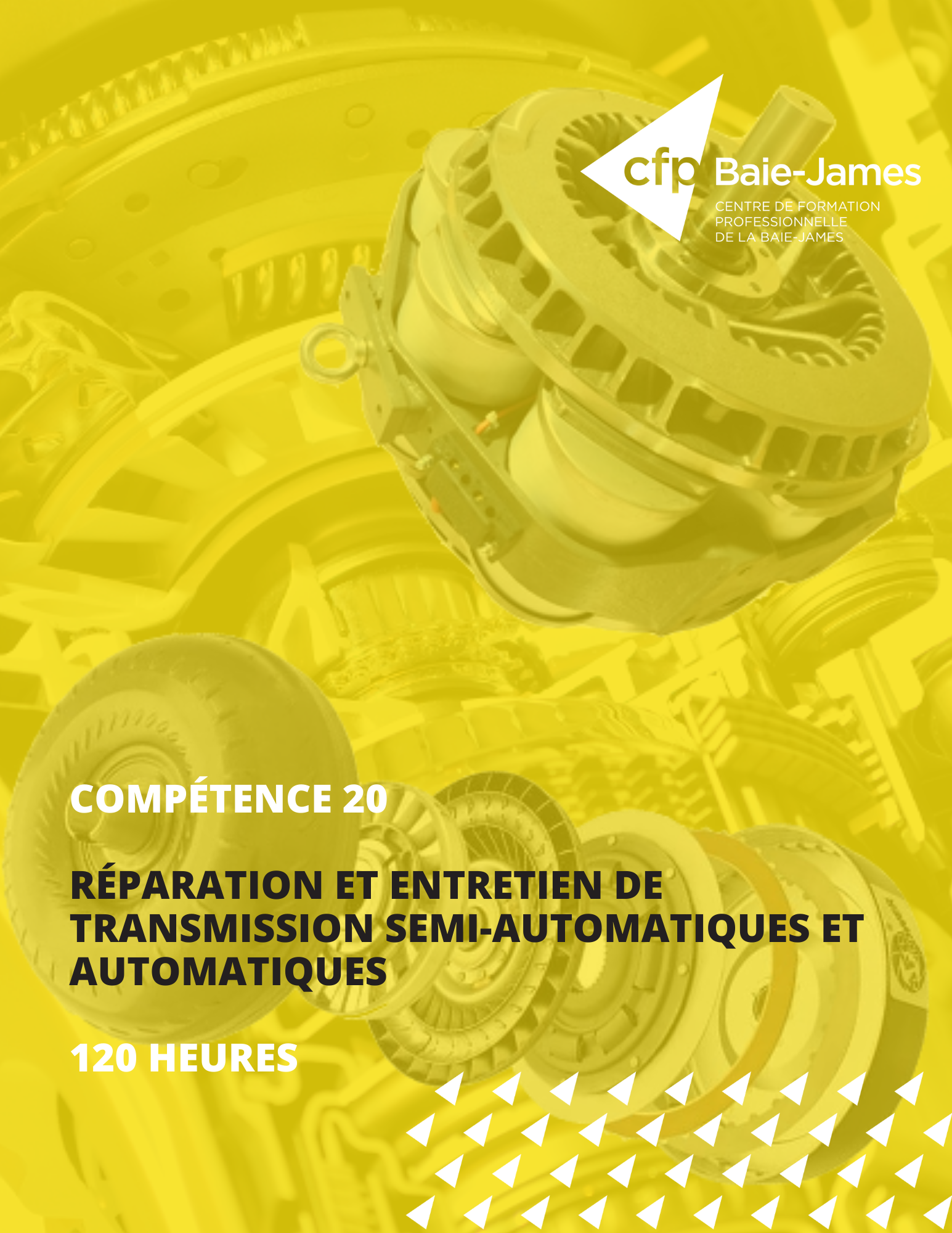 20 - Réparation et entretien de transmissions semi-automatiques et automatiques (351318)