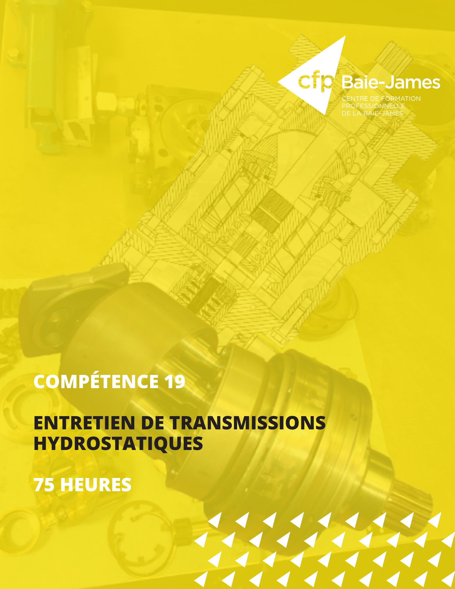 19 - Entretien de transmissions hydrostatiques (351315)