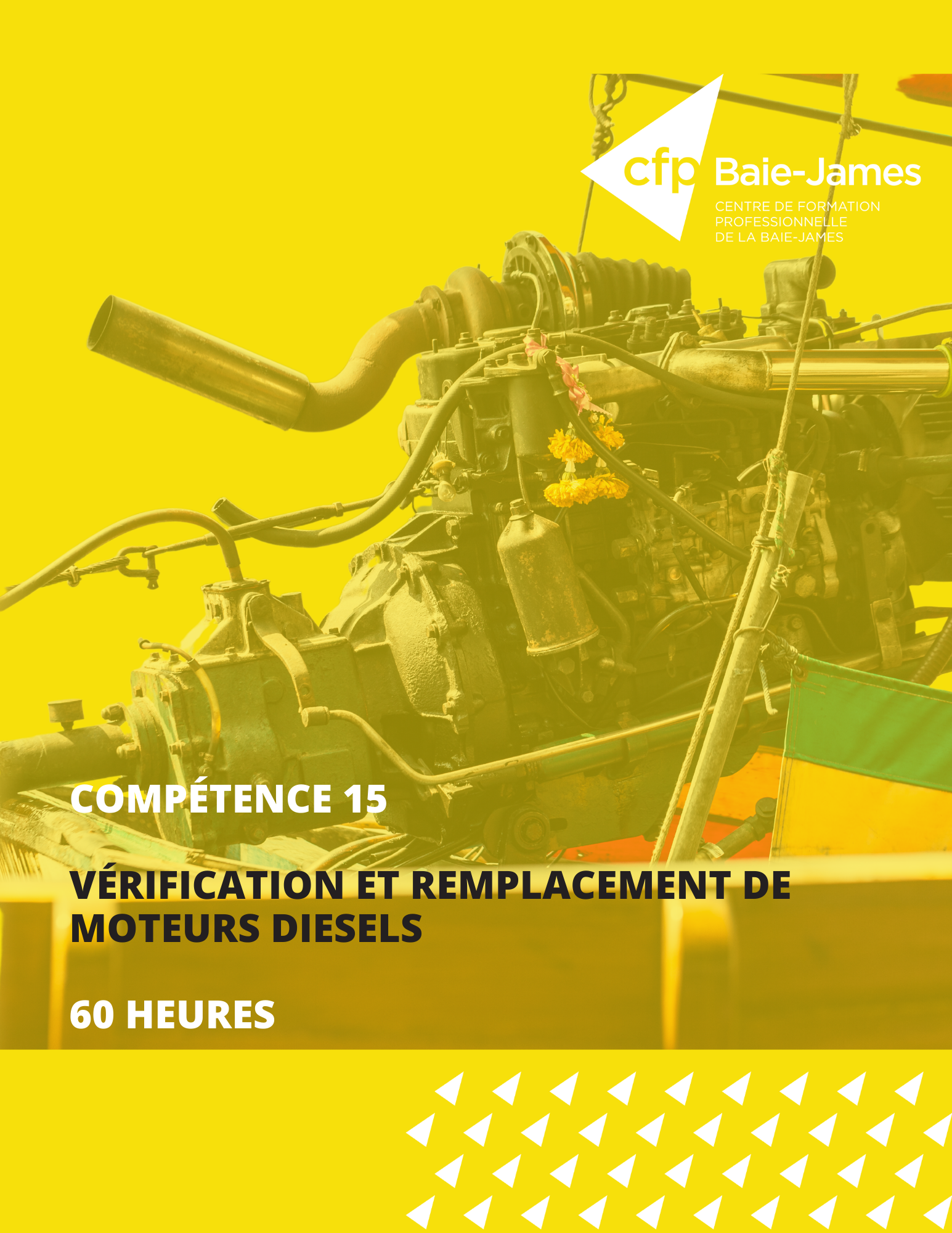 15 - Vérification et remplacement de moteurs diesels (351294)