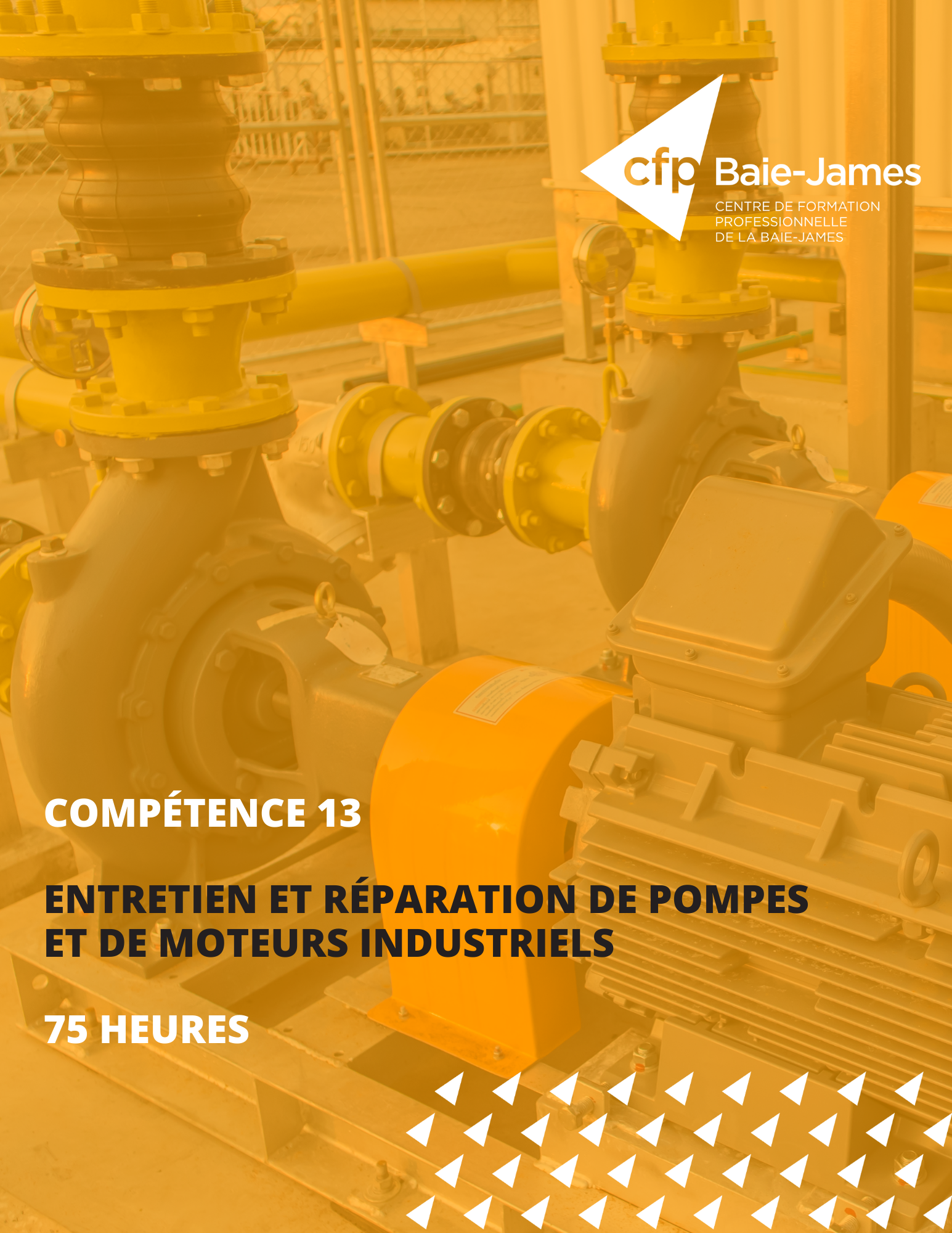 13 - Entretien et réparation de pompes et de moteurs industriels (398325)