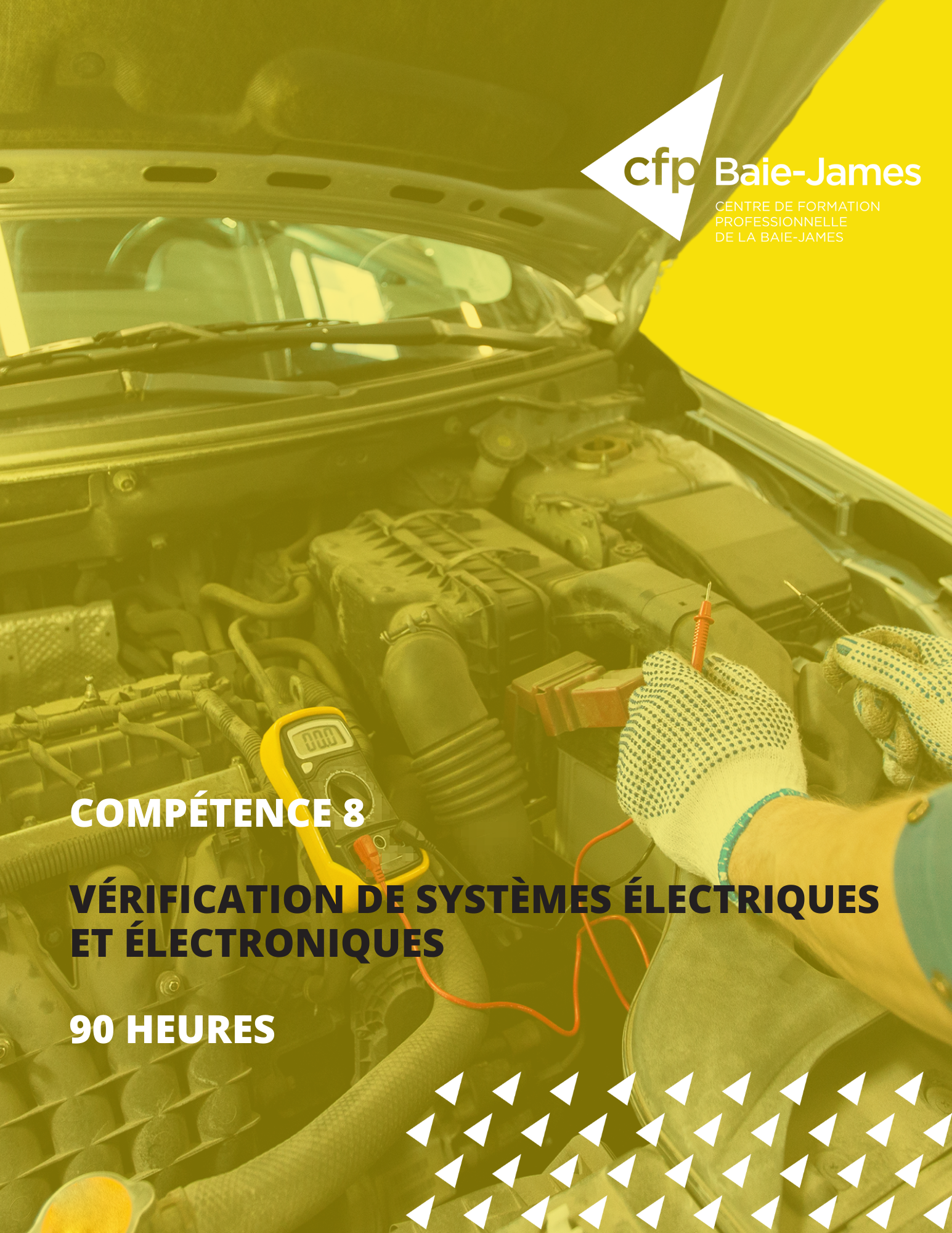 8 - Vérification de systèmes électriques et électroniques (351246)