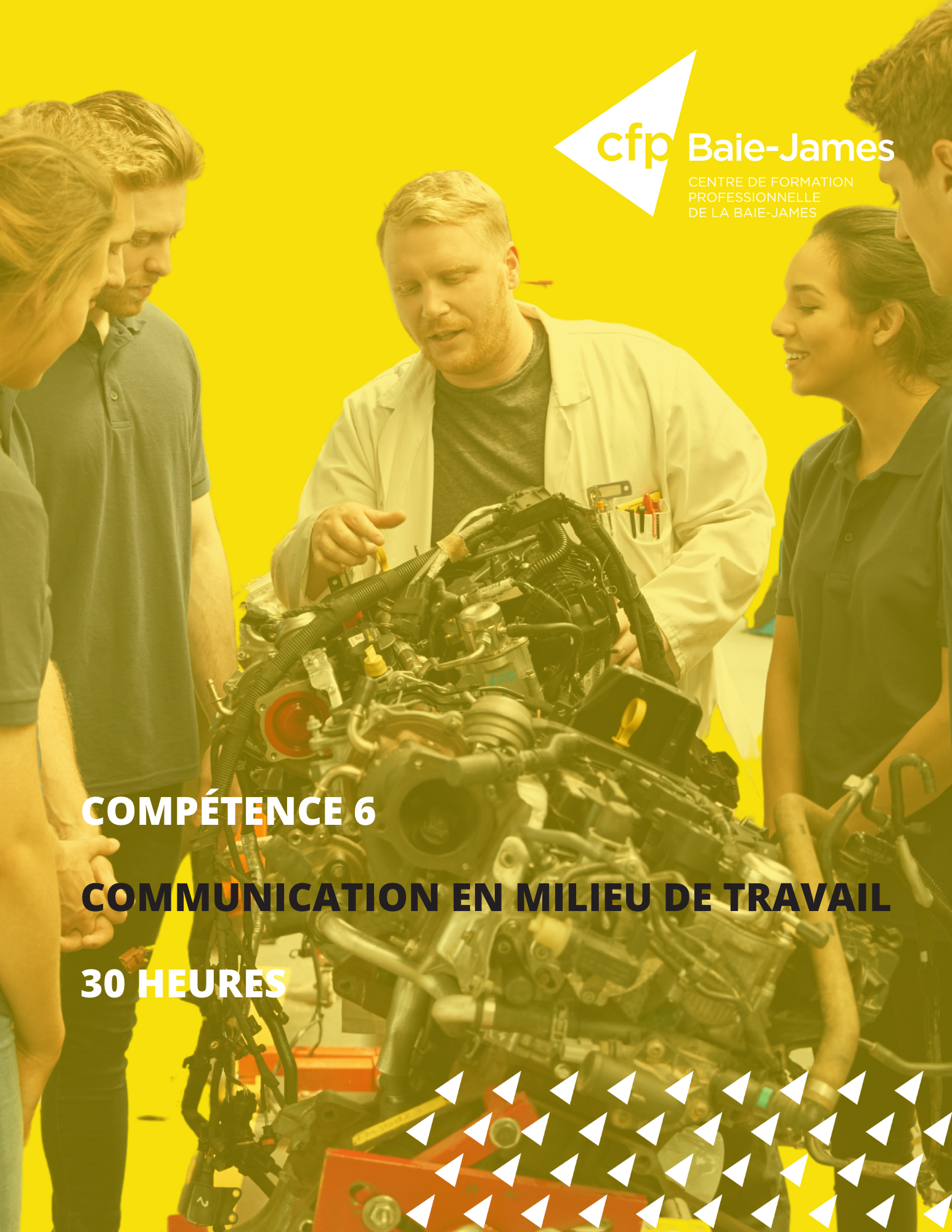 6 - Communication en milieu de travail (351232)