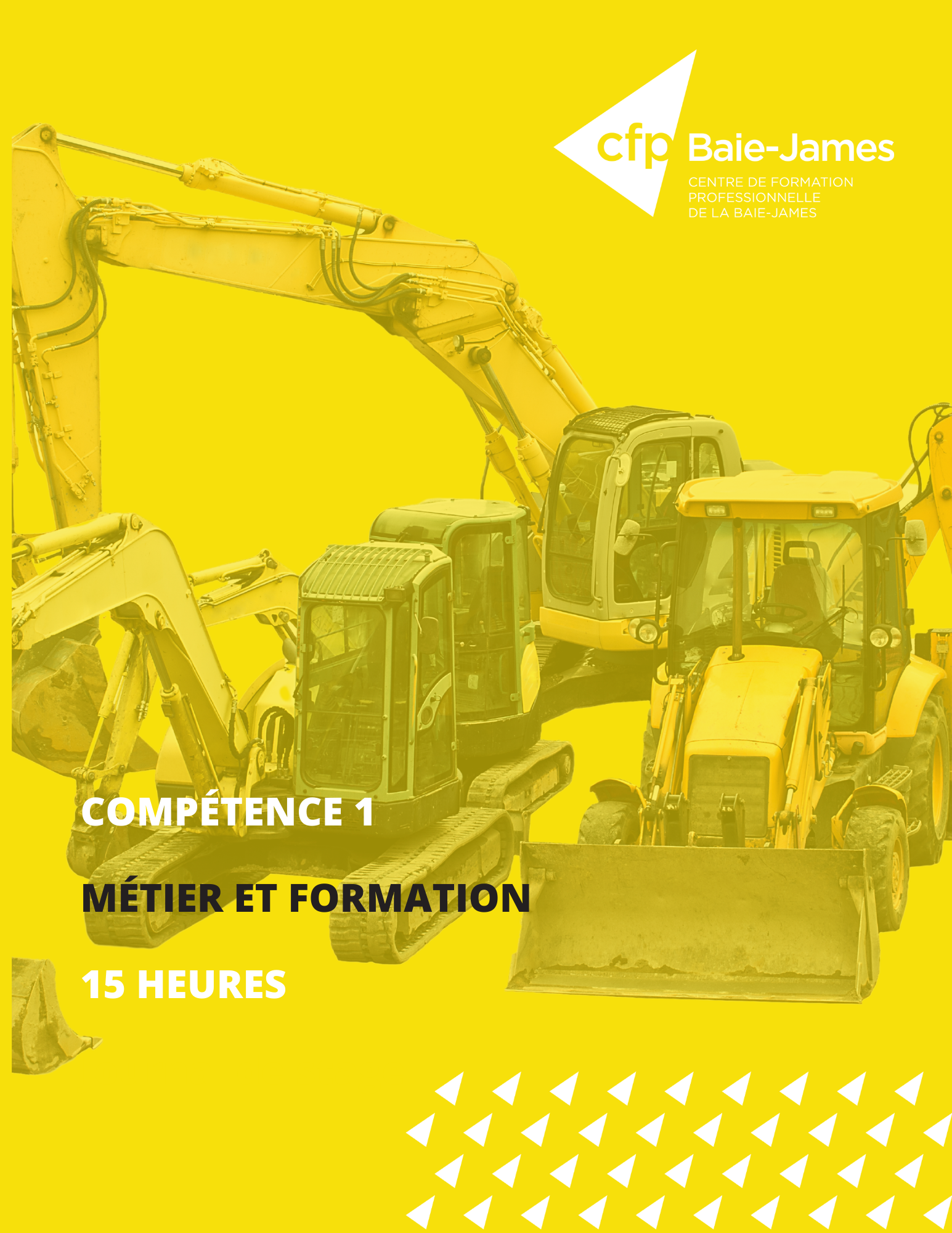 1 - Métier et formation (351211)