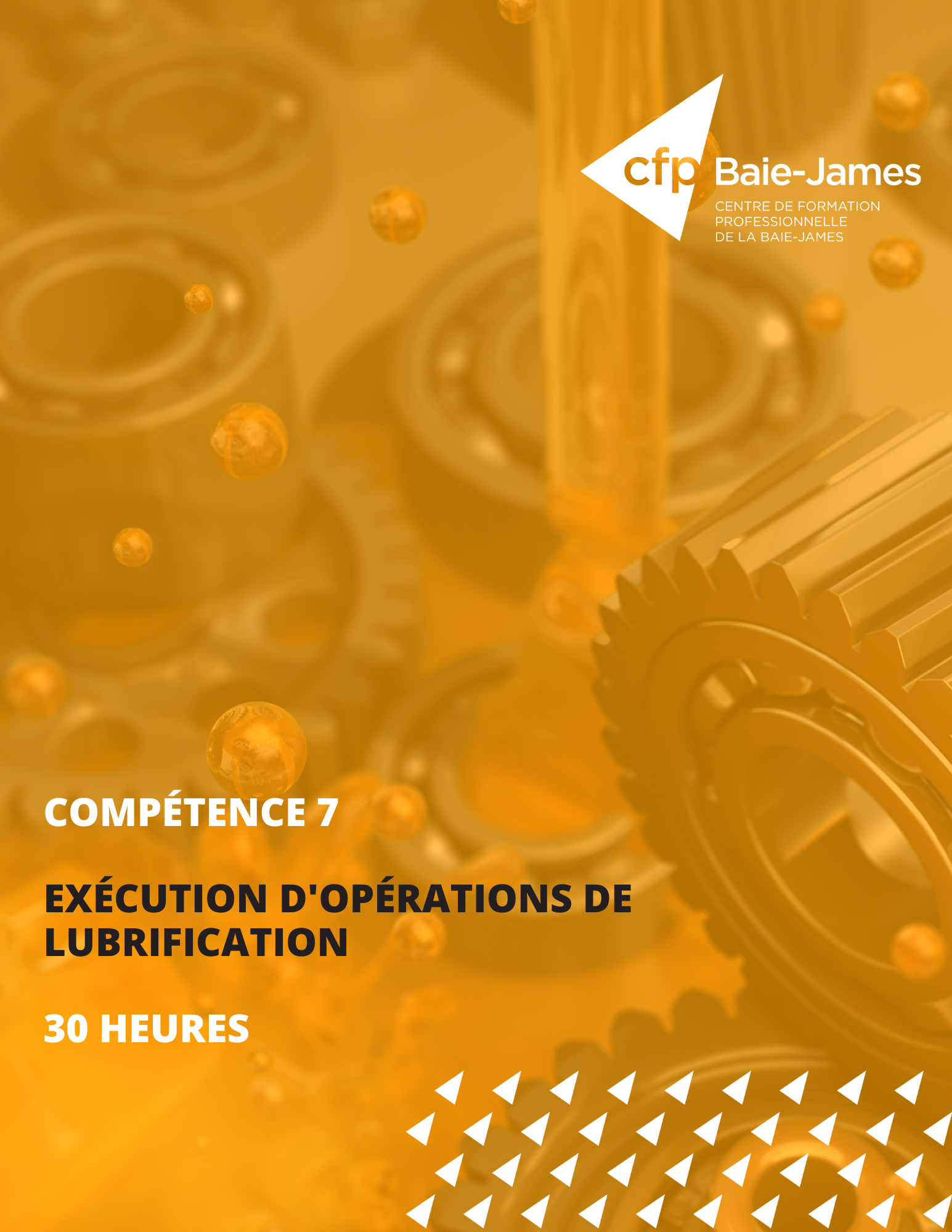 7 - Exécution d'opérations de lubrification (398262)