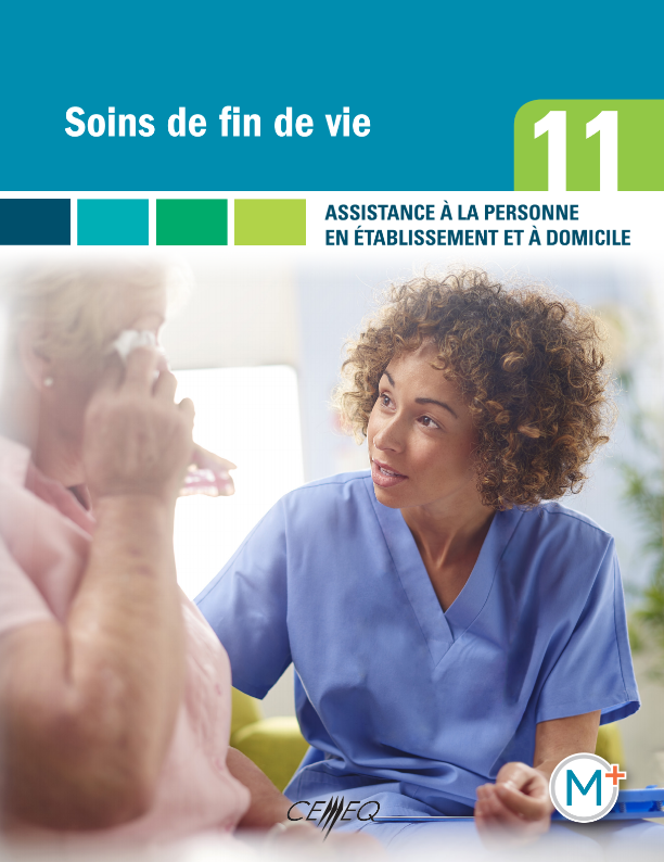 11 - Soins de fin de vie (251802)