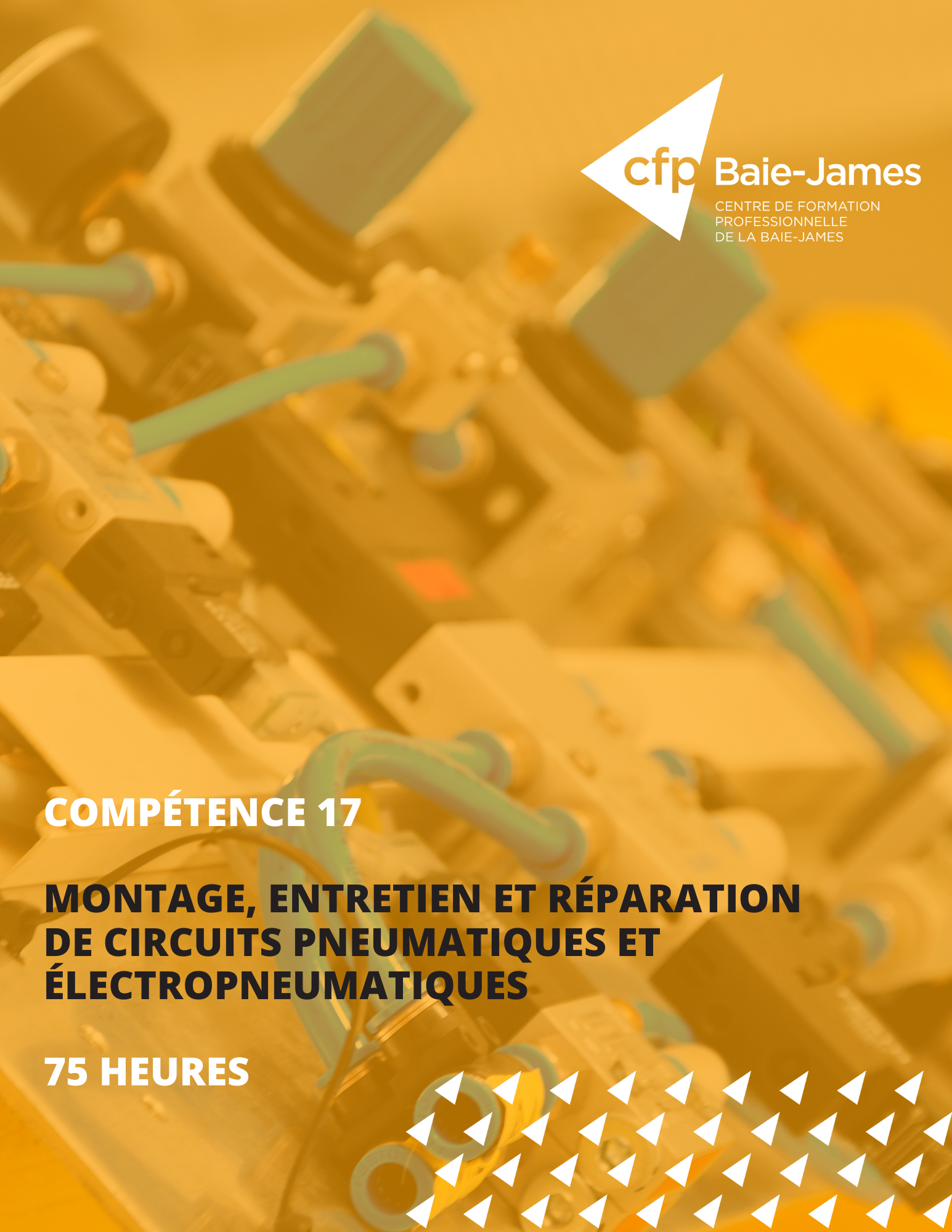 17 - Montage, entretien et réparation de circuits pneumatiques et électropneumatiques (398365)