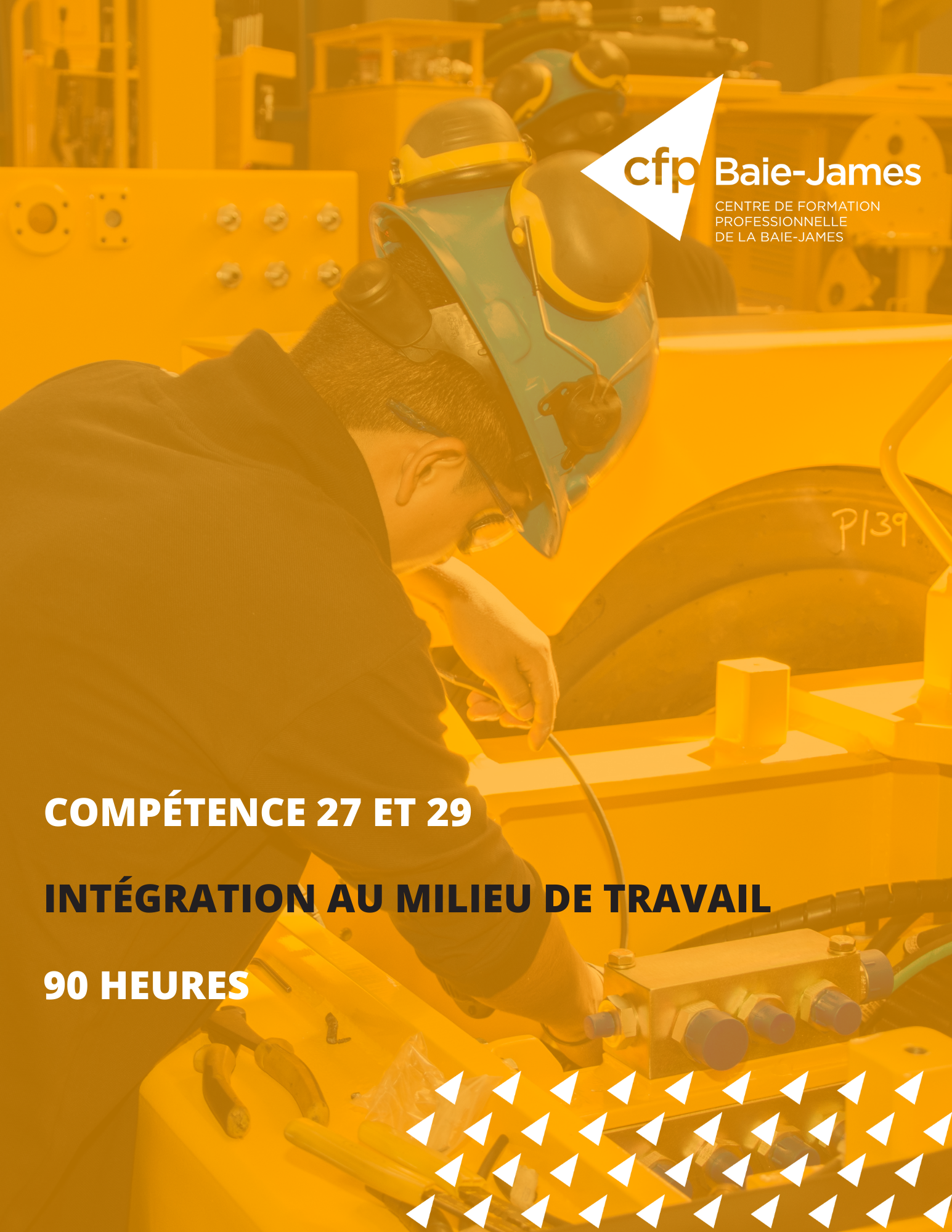 27 et 29 - Intégration au milieu de travail (281876 - 398486)