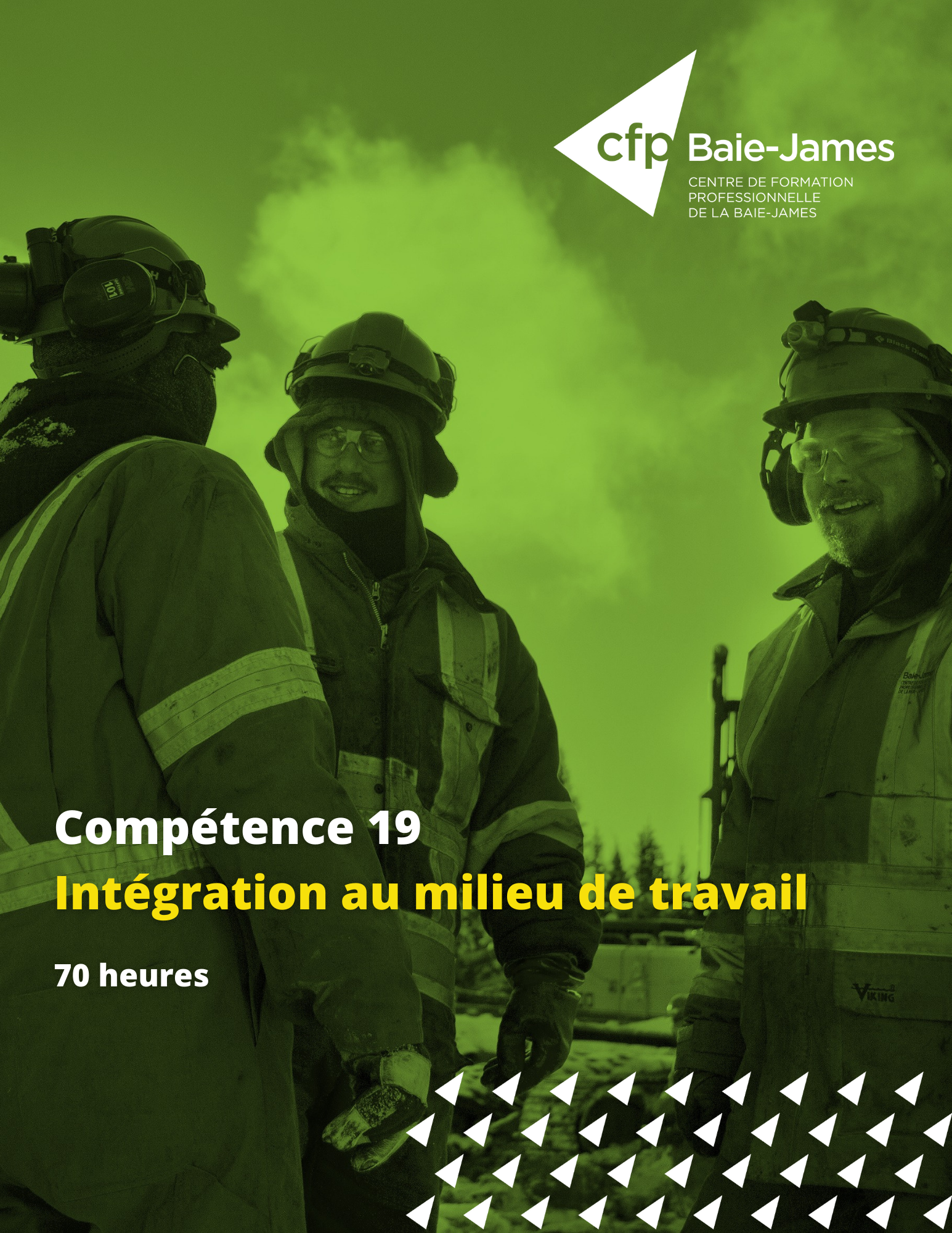 19 - Intégration au milieu de travail (355284)