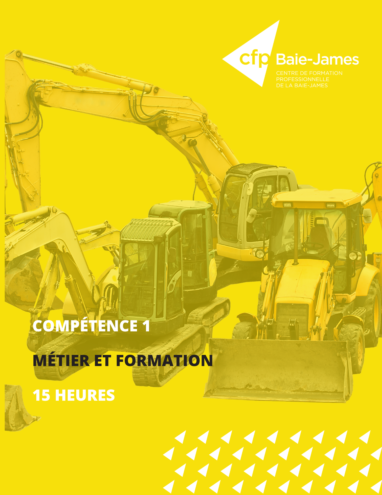 Module 1 - Se situer au regard du métier et de la démarche de formation (AEP 238-011 )