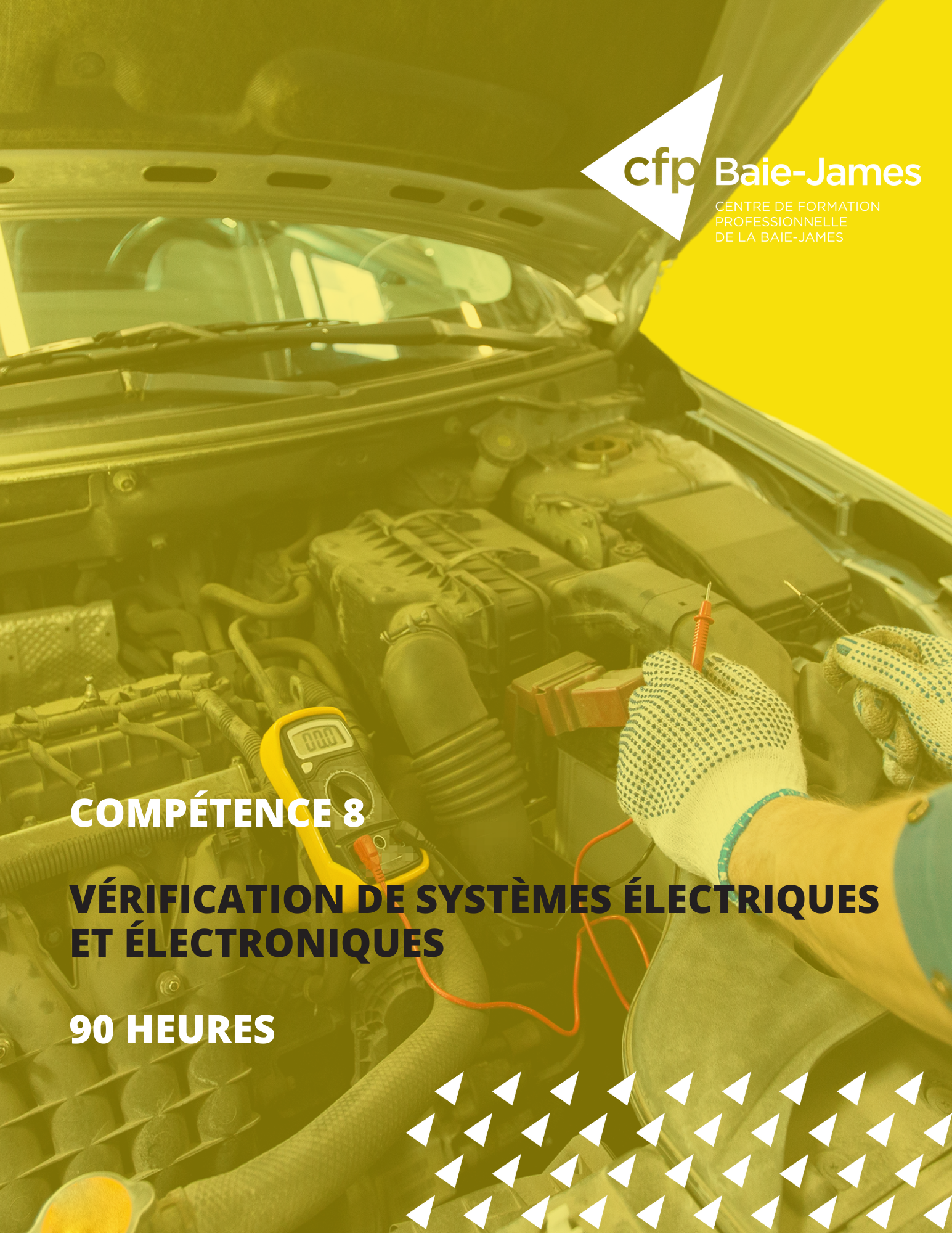 Module 3 - Vérifier le fonctionnement des systèmes électriques et électroniques (AEP 238-036)
