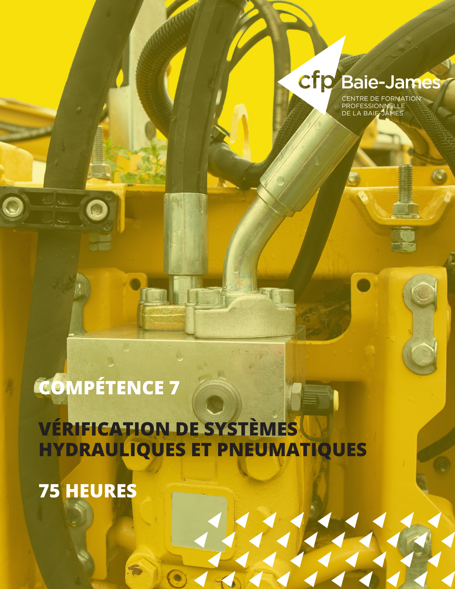 Module 4 - Vérifier le fonctionnement des systèmes hydrauliques et pneumatiques (AEP 238-046)