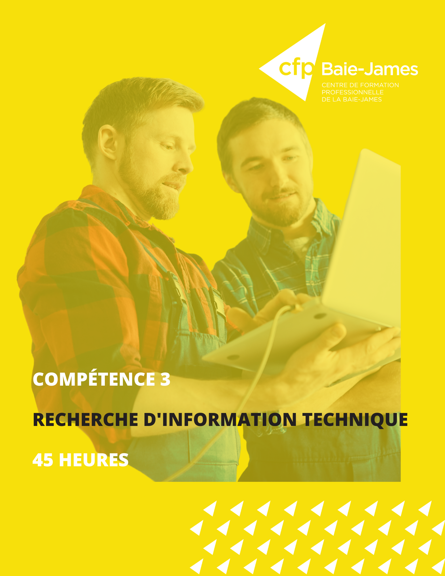 Module 6 - Rechercher de l’information technique (AEP 238-062)