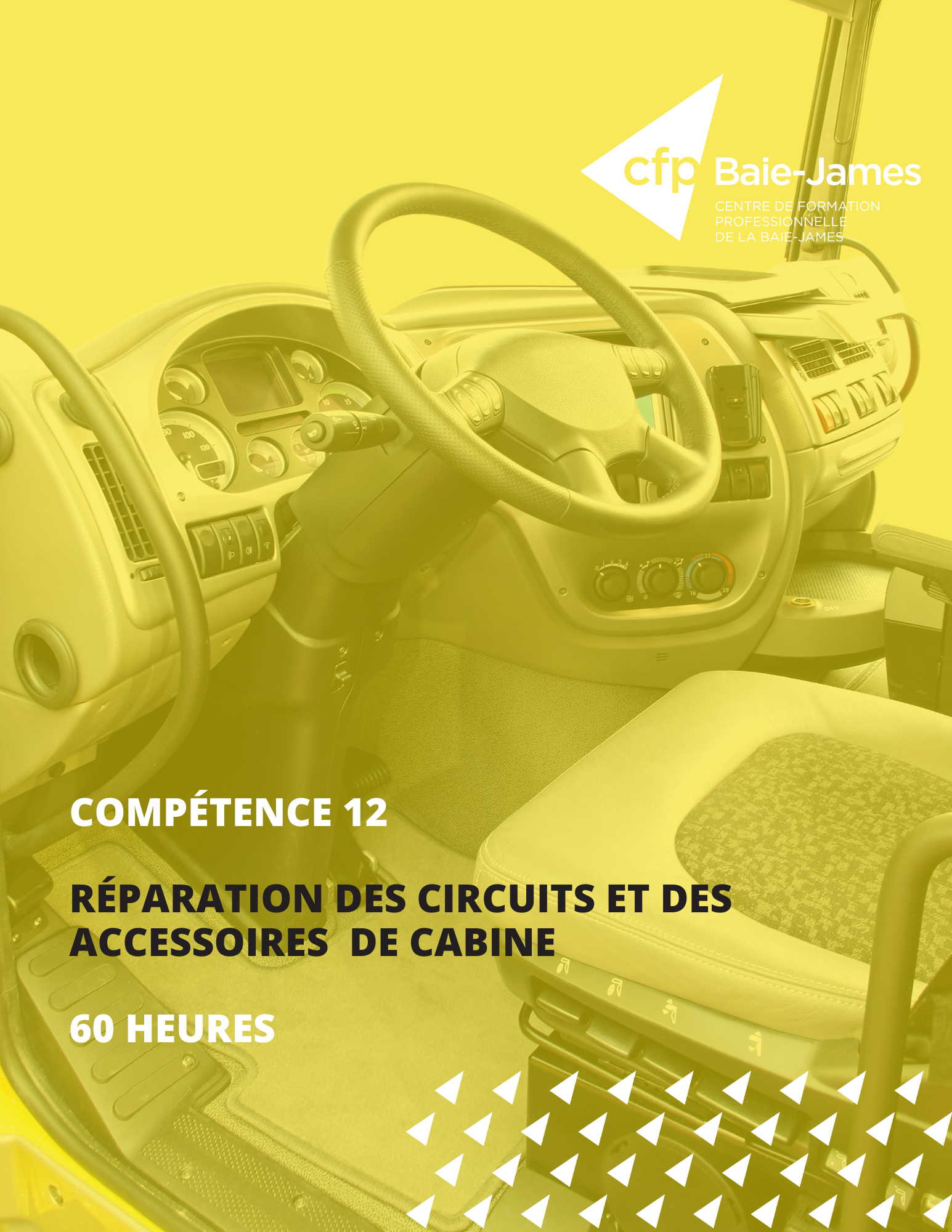 Module 8 -  Réparer des éléments de cabine et accessoires (AEP 238-082)
