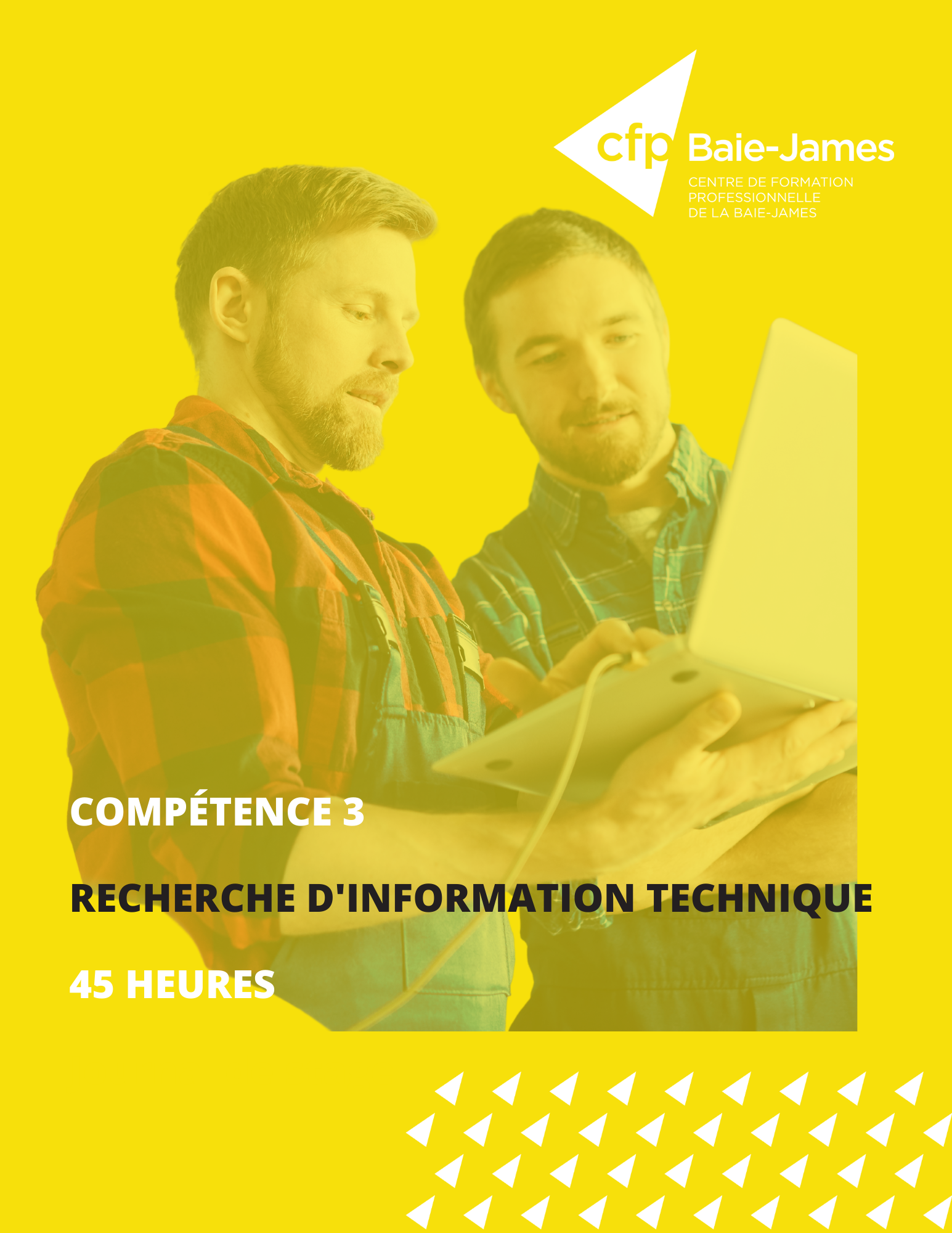 3 - Recherche d’information technique (351213)