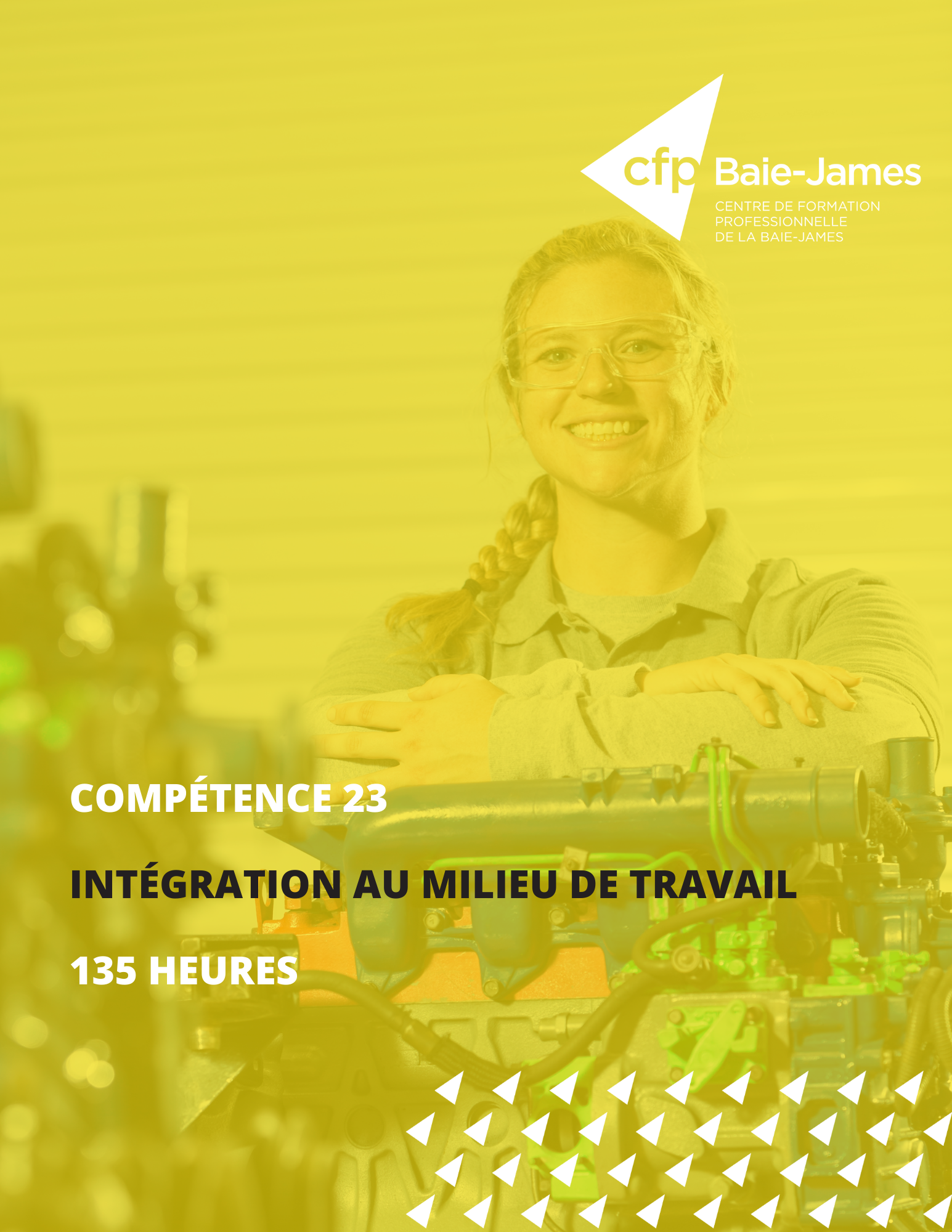 Module 13 - S'intégrer au marché du travail (AEP 238-XXX)