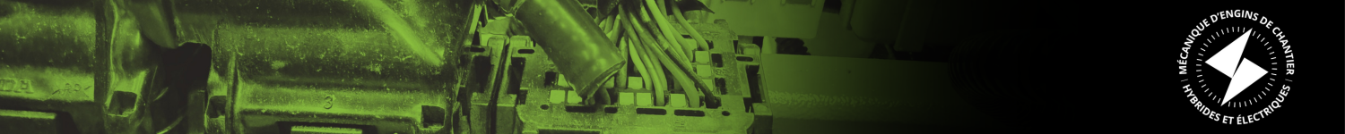 05 - Systèmes électriques et électroniques de contrôle en basse tension (AEP 271-055)