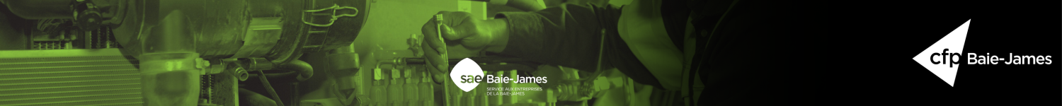 Mécanique préventive d'engins de chantier