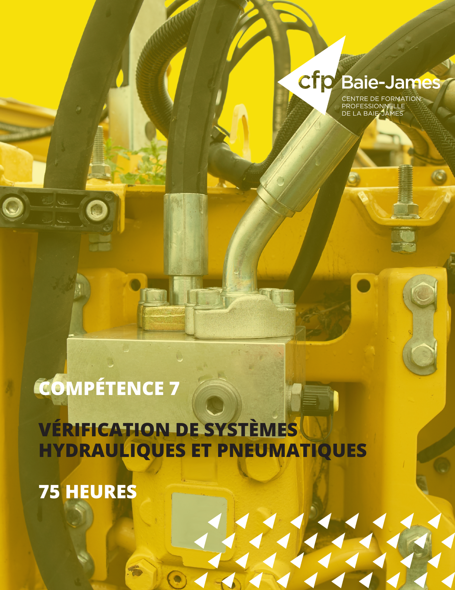 7 - Vérification de systèmes hydrauliques et pneumatiques (351236)